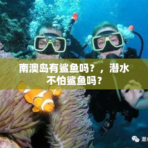 南澳岛有鲨鱼吗？，潜水不怕鲨鱼吗？