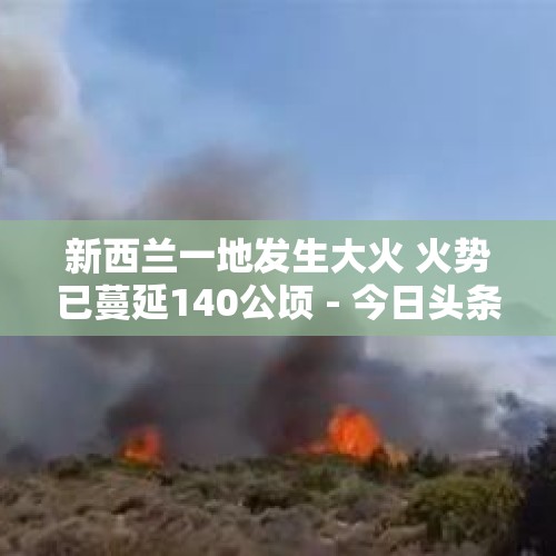 新西兰一地发生大火 火势已蔓延140公顷 - 今日头条